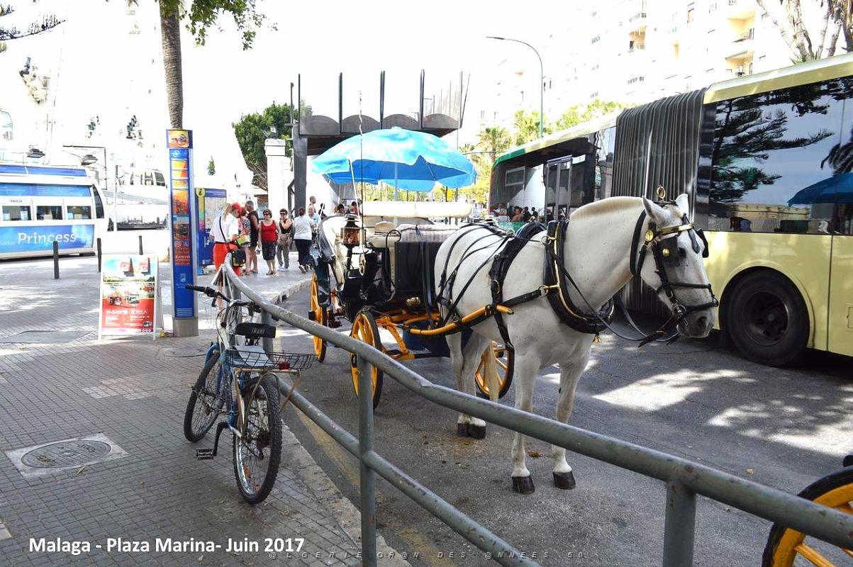061- Malaga Plaza Marina.JPG